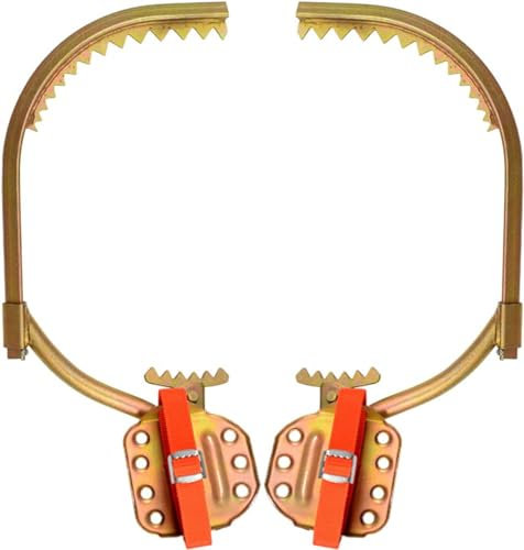 DFANCE Tree Climbing Spikes Baumklettern Werkzeug,Bäume Klettern Steigeisen Baumklettern AusrüStung FußSchnalle Eines Elektrikers Einfach zu Verwenden Leicht zu PflüCkende FrüChte(Size:JKT 300)