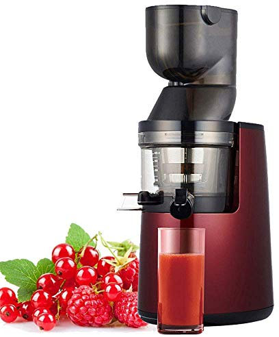 QUSYZD Extracteur de jus à Mastication Lente, Presse-Agrumes à Froid avec Moteur Silencieux/Fonction Marche arrière pour Fruits, légumes et jus