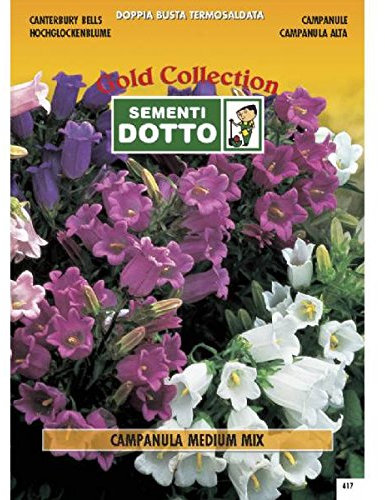 Sementi Dotto Semi di Campanula Medium in Mix - h cm 50-60