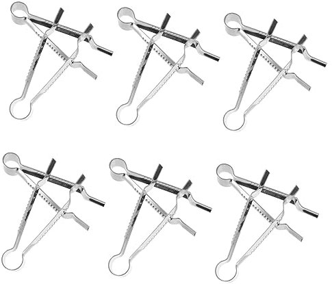 Alipis Lot de 12 Moules À Fondant en Acier Inoxydable Outils De Décoration De Gâteaux Coupe-Biscuits Pince À Sertir Fournitures pour Pâte À Sucre Style Aléatoire