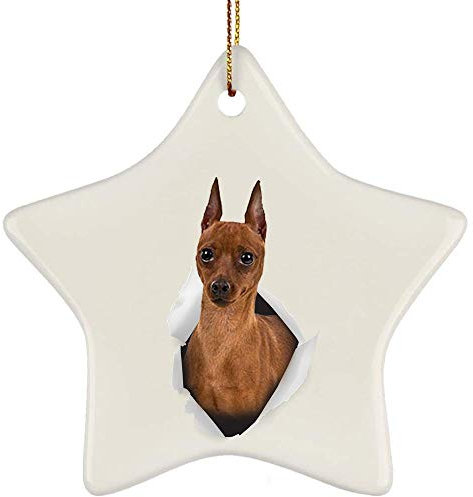 Weihnachten Ornamente Mit Schnur Weihnachtsanhänger Keramik Christbaumschmuck Anhänger Weihnachtsbaum Deko Lustiger Pinscher Rotbraun Kommt Aus Rissiger Wand