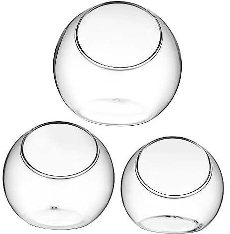 NULYLU 3 Stück Terrarium Luftpflanzen Vasen Aus Glas Moderne Tischpflanzgefäße Für Heim Und Büro Dekorative Glaskugeln Für Kreative Pflanzenarrangements