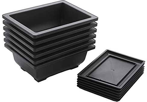 Macetas para bonsái de 6 piezas – Bandeja húmeda profunda clásica con red integrada para plantas, flores, macetas cuadradas de plástico