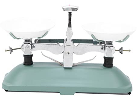 Balance Mécanique, Balance de Laboratoire à Double Plateau, Outil d'enseignement de La Physique d'enseignement Précis et Robuste École Des étudiants Accessoire d'expérience de Physique(100g)