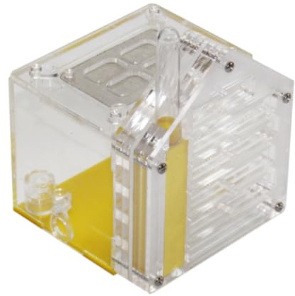 Errario De Hormigas Granja De Hormigas, Juguete Transparente, Ecosistema, Kit Hábitat, Nido Hormiga Acrílico para Mascotas, Educativo Hormiguero Anthouse