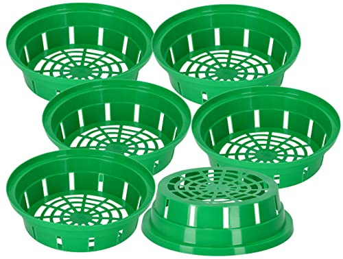 KOTARBAU® 6er Set Pflanzschale - Blumenzwiebeln Pflanzkorb - Korb zum Pflanzen von Tulpenzwiebeln – ⌀ 200 mm – Korb zum Anbau von Zwiebelgewächsen – für Tulpen