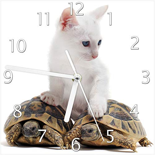 Wallario Design-Wanduhr Katze auf Schildkröten aus Glas, Motiv-Uhr Größe 20 x 20 cm, weiße Zeiger