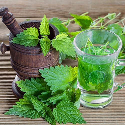 Feuilles d’Ortie Coupées 100g – Feuilles Entières Séchées – Idéales pour Infusions, Soupes, Recettes Végétales – Sachet Refermable – Artisan Du Vert