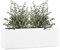 Pflanzwerk® Fioriera Vaso da Fiori TUB 17x50x17cm Bianco *Resistente al Gelo* *Europea di qualità* *Protezione UV*