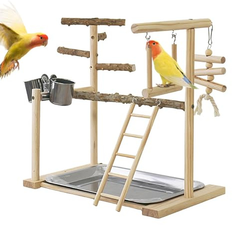 Vogelsitzstangenhalter – Aktivitätsstahl für Vögel, Kletterspielzeug für Vögel | Vogelspielplatz zum Aufhängen mit verbesserter Gesundheit, Vogel