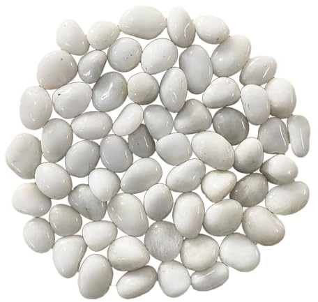 Ciottoli Pietre di roccia di fiume Pietre paesaggistiche da giardino Riempitivo di ghiaia Decorazione da giardino Rocce decorative for acquario da giardino all'aperto, Nero da 3 a 5 cm(White 2 to 3 Cm