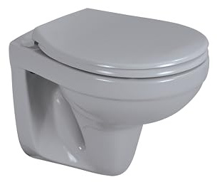 sanicomfort Wand-WC manhattan spülrandlos, Tiefspüler, Abgang waagrecht, mit WC-Sitz mit Absenkautomatik