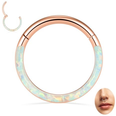 hengkaixuan 16G Nasenringe Septum Clicker 316L Chirurgisches Stahlsegment Helix Knorpel Conch Hoop Ohrringe Hoop Conch Hoop Daith Piercing Schmuck
