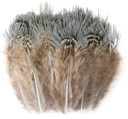 Paon faisan poulet plume en vrac 3-15 cm bricolage artisanat bijoux boucles d'oreilles mariage plume décoration(Silver,20PCS)