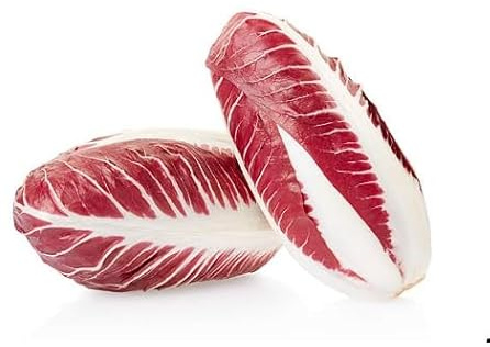100Pcs red endives Vegetable Seeds