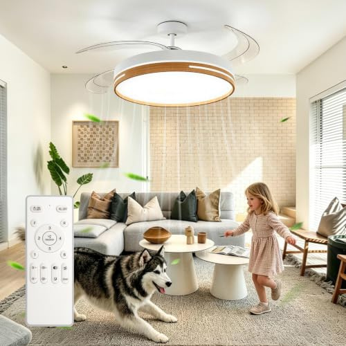 Maxled, Light is Led! 30W Ventilador de Techo con Luz Mando a Distancia 4094LM 4 Aspas Plegables CCT Intensidad Regulable Temporizador Invisible Lámpara Ventilador de Techo con Memoria y 6 Velocidades