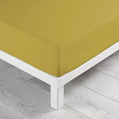 douceur d'intérieur, Drap Housse (160 x 200 cm) Linette Jaune, 100% Coton