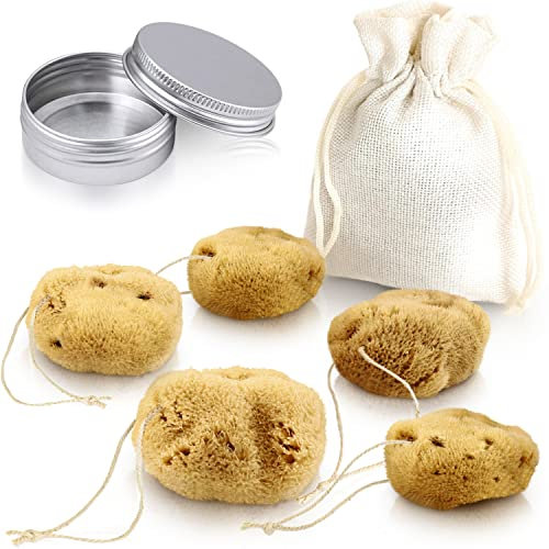 tom&pat Menstruationsschwamm mit Faden, Alternative zu Soft-Tampons, Dermatest: Sehr gut, Wechseldose für unterwegs, Naturschwamm als Perioden-Schwamm, waschbar & wiederverwendbar (Gr. S, 5 x 3-5 cm)