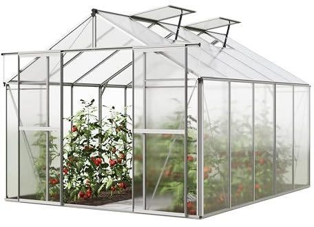 GFP Serre de Jardin Orchidee 5 Structure en Aluminium 256 x 317 cm Panneaux en Polycarbonate