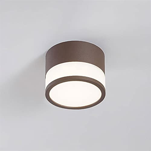 Faretto a LED Spotlight Downlight da incasso a soffitto 12W Luce a sospensione del soffitto, cilindro Accento alluminio Accent Spot luci, Faretti direzionali moderni per camera da letto Cucina Isola C