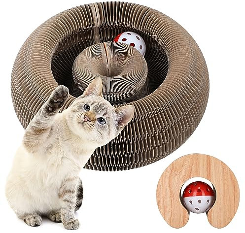 FluffyDream Magische Orgel Katzenkratzbrett,Kitten Kratzbrett für Junge Katze,Interaktive Kratzunterlage mit Ball,Katzenspielzeug Intelligenz Intelligenzspielzeug