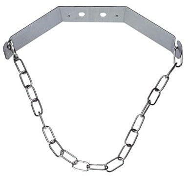 Edelstahl CO2 Flaschenhalter inkl. Kette 2-10 kg | Wandhalter für Mehrwegflaschen | Wandhalter für Co² Kohlensäureflaschen | Gasflaschen Lagerung für Wassersprudler und Tafelwasseranlage