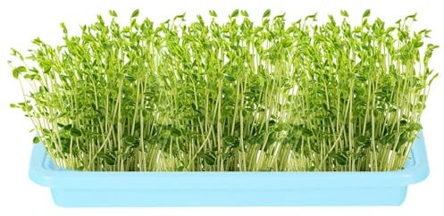 Dreuhuing Bandeja de vivero de Plantas, Bandeja de Cultivo sin Tierra para germinación de plántulas, bandejas de propagación de Plantas de microverdes, Kit de contenedor de germinación Saludable para