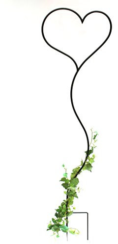 DanDiBo Tuteur pour plante grimpante Cœur Support pour plante grimpante en métal 147 cm Tuteur de sol Tuteur Grille pour plante grimpante
