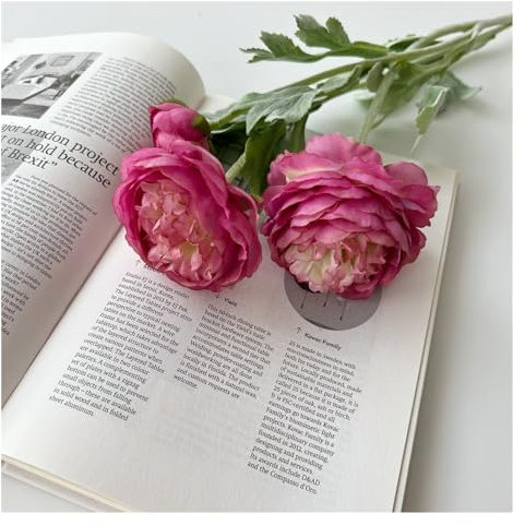Künstliche Ranunkeln, künstliche Pfingstrosen, Ranunkel, Seidenblumen, 18 Köpfe, rosa Blumen, Kombi, Champagner, Kunstblumen, 52 cm, künstliche Blumenarrangements, Hochzeitsdekorationen für Zuhause,