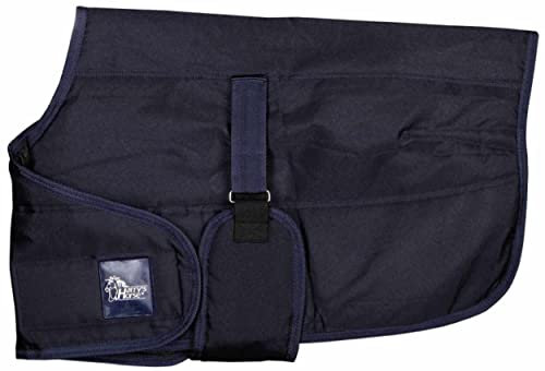 Amesbichler Reitsport Fohlendecke - Stalldecke 65 cm 100g Füllung, Nylonfutter, ca. 75-95 cm verstellbar, blau