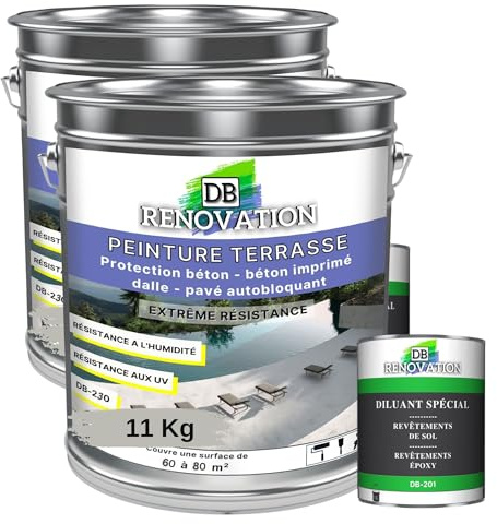 DB Rénovation PEINTURE SOL TERRASSE Extérieur pour béton, pavé - Forte protection UV - Haute imperméabilité - Passage fréquent - Gris soie 11KG + 1L Diluant