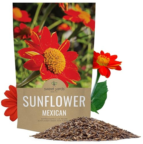 Mexican Sunflower Seeds – Bulk Quarter Pound Bag – Over 10,000 Open Pollinated Non-GMO Wildflower Seeds – Tithonia rotundifolia