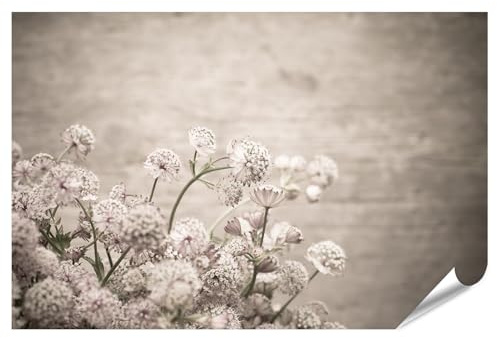 islandburner Prime Image Poster Bouquet de Fleurs sur Fond Bois Floue Premium Photos Photo Photo