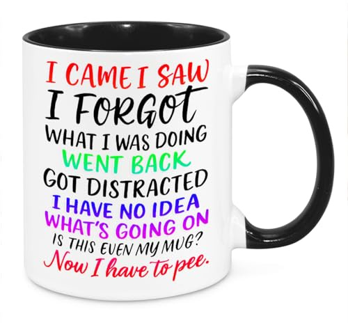 Cherish Charlie Designs I Came I Saw I Forgot Mug - Funny Novelty Gift Silly Present Mugs for Women Birthday Christmas for Mum Dad Friend Sister for Men Colleague Secret Santa Work Quotes 2 (Rainbow)