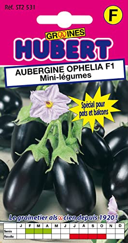 10 Graines d'Aubergine Ophélia F1 Mini-légumes