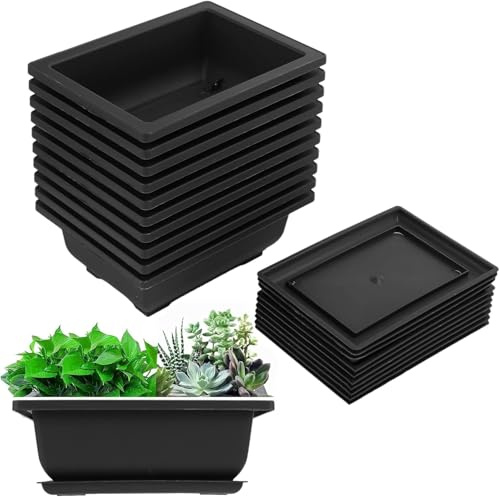 Gokelomg Juego de 10 macetas de entrenamiento para bonsái con bandeja, macetas de plástico para jardín, vivienda y balcón, 16,5 x 12 cm