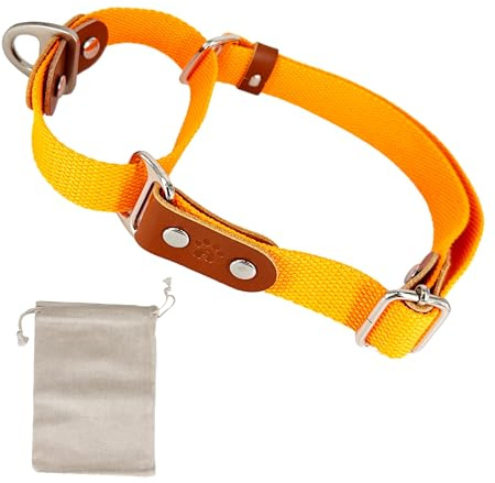 Martingale-Zugstopp-Halsband für Hunde. Orange & Cognac, M. | Handgefertigt in Spanien; weiches Baumwoll-Polyesterband, spanische Lederdetails und begrenzter Zugweg gegen Herausschlüpfen.