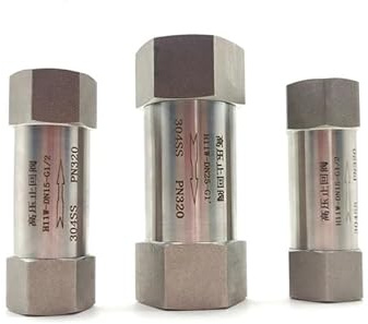 YLQUXEUV Clapet Anti-Retour Haute Pression en Acier Inoxydable 304, 1 BSPP, Filetage mâle 32 MPa