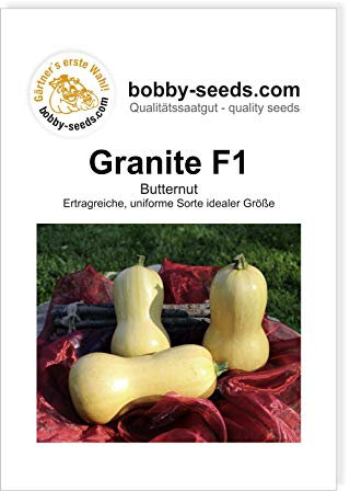 Granite F1 Kürbissamen von Bobby-Seeds, Portion