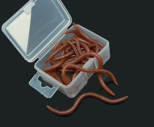 Jammas 20g/box Fishy Smell Fishing Soft Lures Earthworm Blood Worms Maggots Sea Worm Artificial Carp Fishing Accessories - (Color: Earthworms)