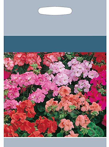 Semillas de Geranios Naturales para Hacer Crecer Flores en Casa