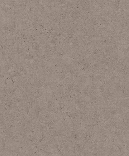 Rasch Tapeten Vliestapete (universell) Braun 10,05 m x 0,53 m Concrete 520873