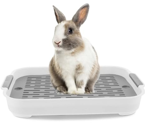 Kaninchenstrauder Tablett 2 Tier Rabbit Müllbox Rechteck rechteckige Hasen Pier -Toiletten -Meerschweinchen -Müllschaler Töpfchen -Töpfchen Forbunny Frettchen Hamster Hedgehog Weiß L 9.7x14.4x2
