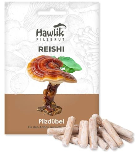 Hawlik Pilzbrut - Reishi Myzel Pilzdübel für den Anbau auf Holz - Vitalpilze kinderleicht selbst züchten - Pilzzucht im Garten ohne Vorwissen - langjährige Reishi-Ernte!