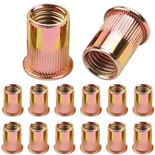 100 Stück Nietmuttern M5, Leryati Kohlenstoffstahl Nietmuttern Runde Flachkopf Innengewinde Rivet, Nutsert Einnietmutter Verzinkt Nietmutter Hülsenmutter, Verwendet für Metallplatten, Rohre usw.