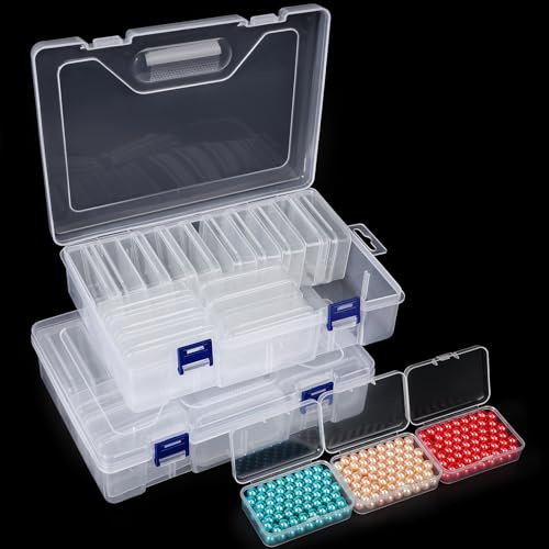 Segbeauty Caja Clasificadora Plastico, 2 Pcs Caja Abalorios de 19 Compartimentos, Organizador Tornillos Transparente, Organizador Diamond Painting