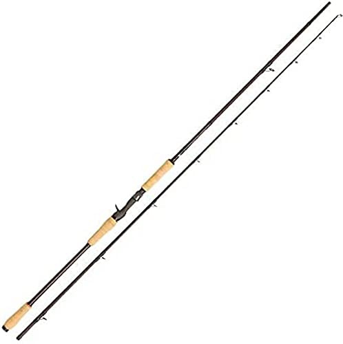Abu Garcia Beast Pro Castingruten