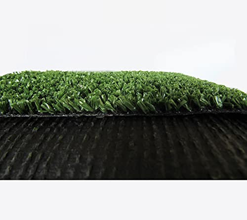 Erba Prato Sintetico Artificiale per Tappeto Manto Erboso effetto realistico da giardino (Spessore 8 mm, Rotolo 1x3 mt (3 mq))