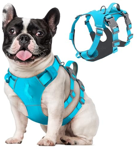 Eyein Hundegeschirr für kleine mittlere Hunde, Leichtes und Atmungsaktiv No Pull Brustgeschirr mit Griff, reflektierend Nylon Geschirr mit Frontclip für Wandern und täglichen Gebrauch, Blau, S