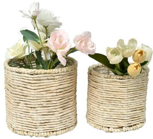 SwallowLiving 2er Set Wasserhyazinthe Pflanztopf Indoor